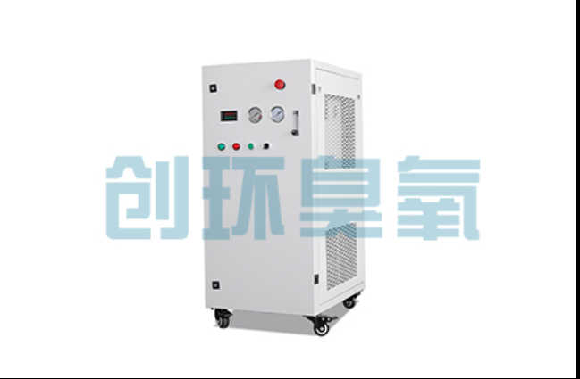 西城工厂化养鲈必看:2026年臭氧发生器替代传统消毒的最新方案