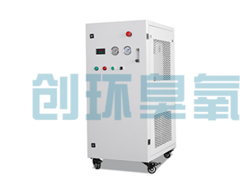 西城石斑鱼养殖水质调控完整指南:臭氧发生器配置与操作步骤