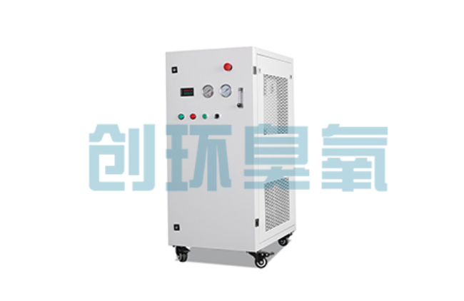 西城比传统换水更高效?臭氧发生器在石斑鱼养殖中的水质净化原理解析